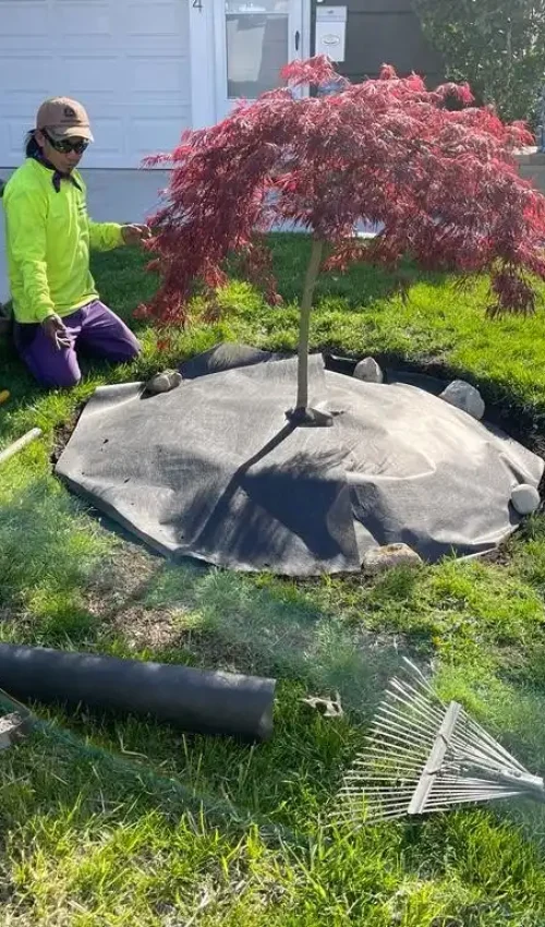 Montes Landscaping (18)